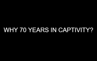 Why 70 Years In Captivity?